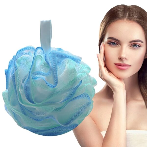 Shower Sponge (Net)
