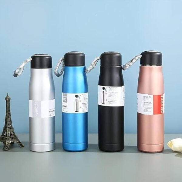 500ml Stainless Steel Bottle